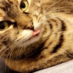 Meet your Posher, Ash